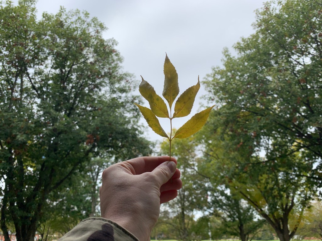 Let’s get you up to date – Oct&nbsp;2019